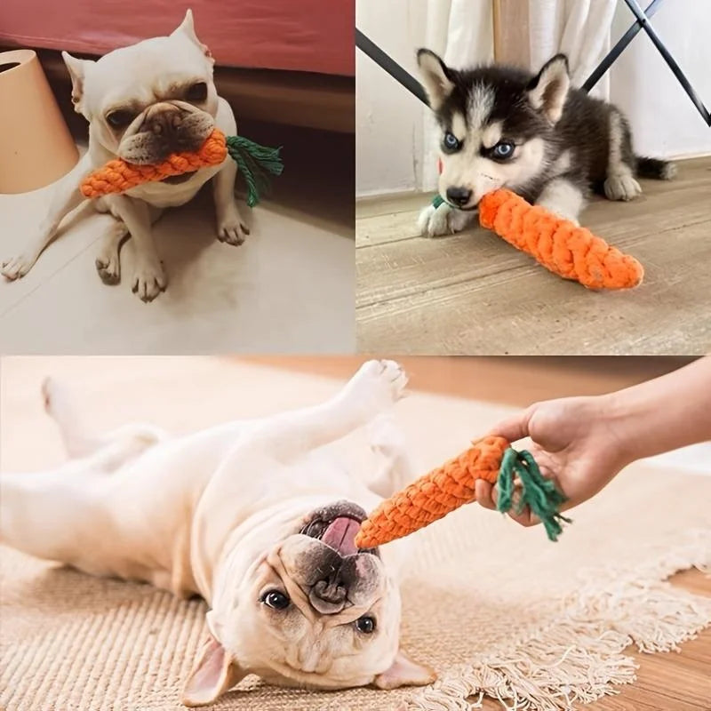 Jouet carotte en corde à mâcher pour chiens et chats