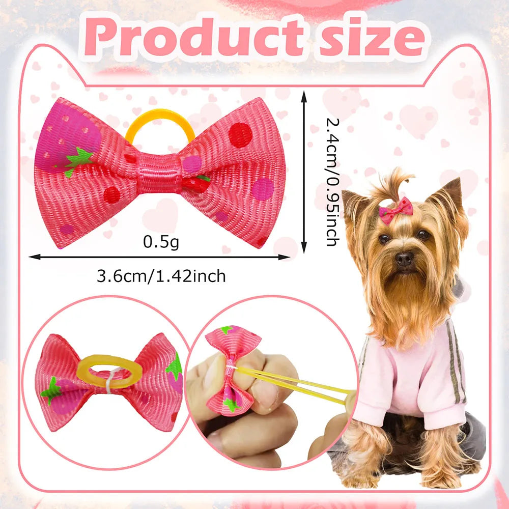 Pack of 30 bows with elastic bands for dogs