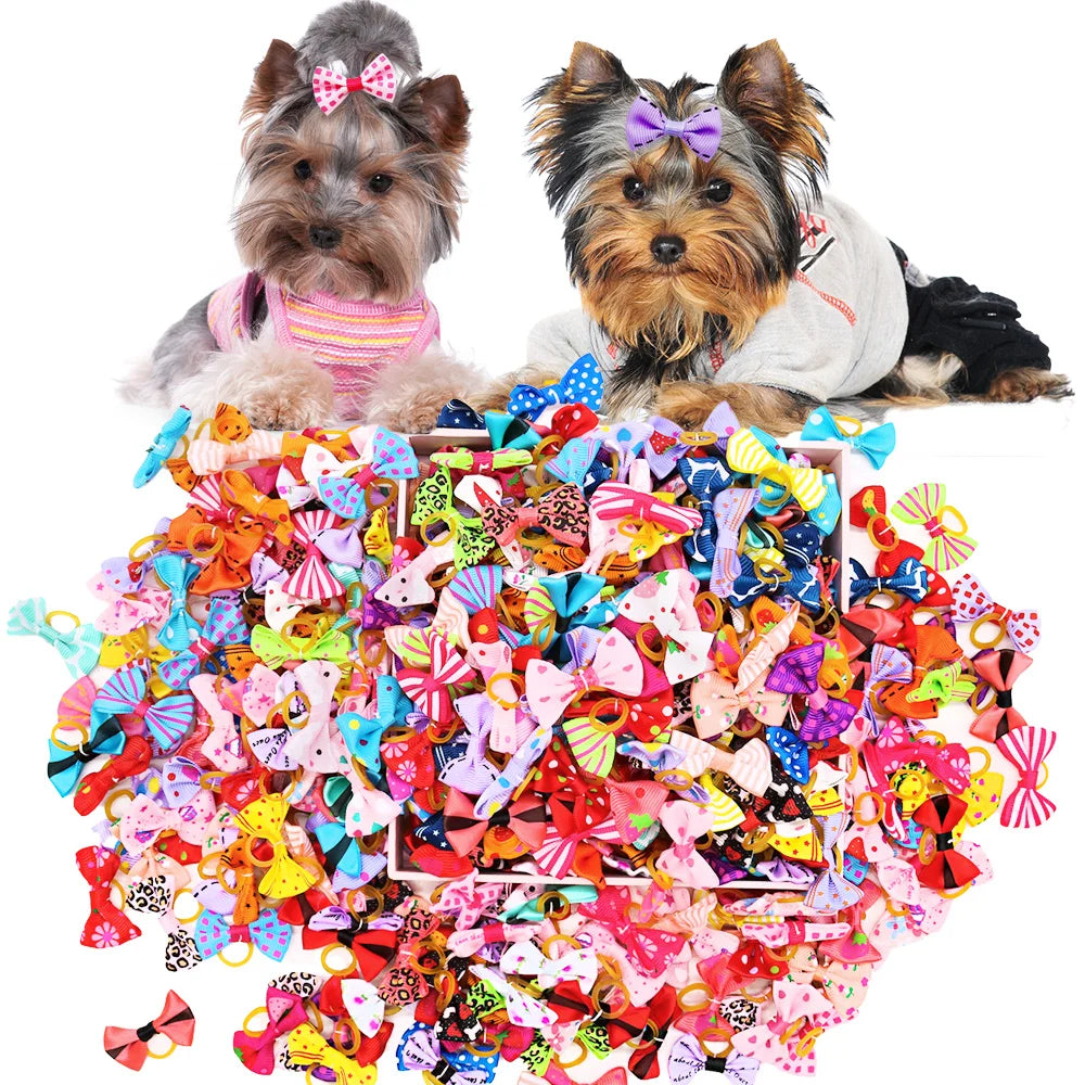 Pack of 30 bows with elastic bands for dogs