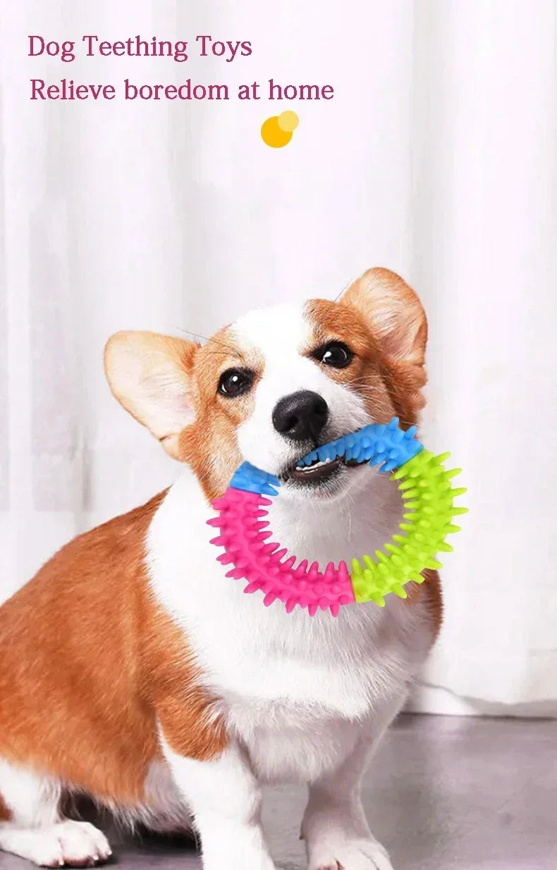 Anneau à mâcher en caoutchouc pour chien – jouet dentaire