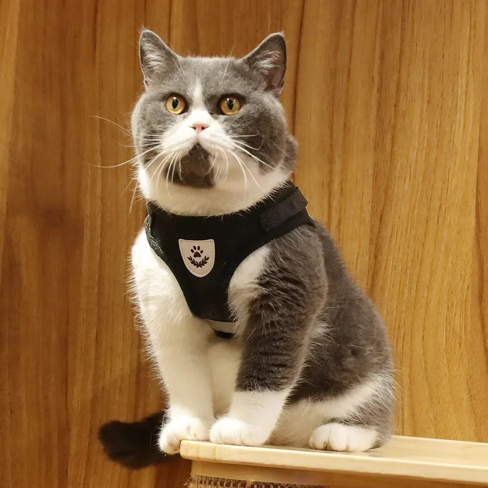 Harnais ajustable réfléchissant avec laisse pour chats et petits chiens