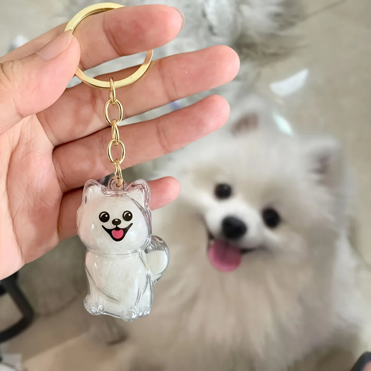 Capsule souvenir pour poils d’animaux avec porte-clés