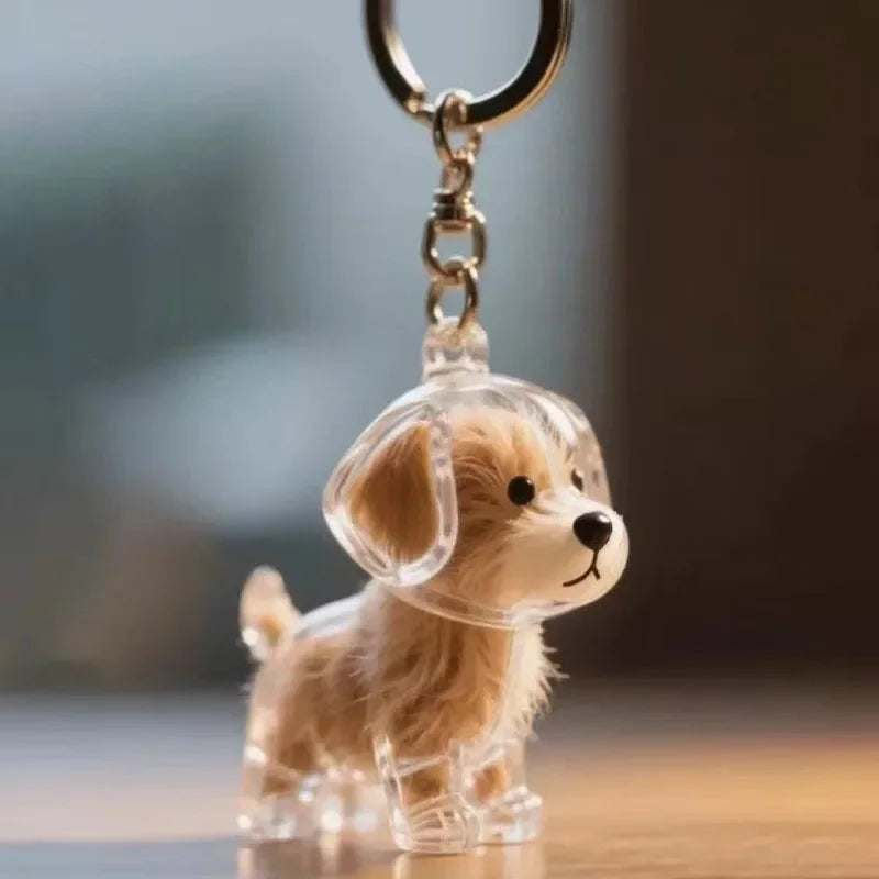 Capsule souvenir pour poils d’animaux avec porte-clés