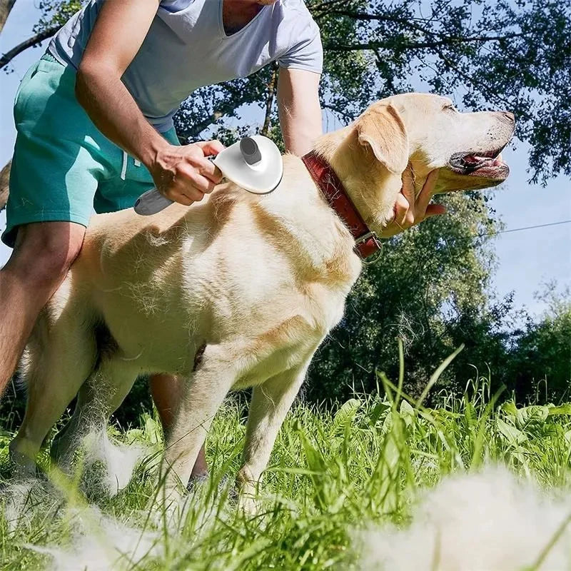 Self-cleaning grooming brush for dogs and cats