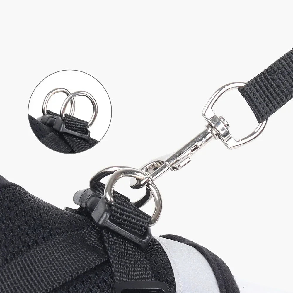 Harnais ajustable réfléchissant avec laisse pour chats et petits chiens