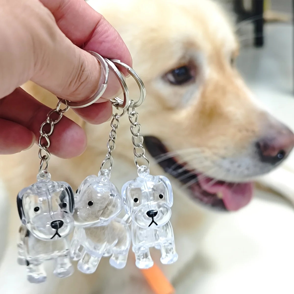 Capsule souvenir pour poils d’animaux avec porte-clés