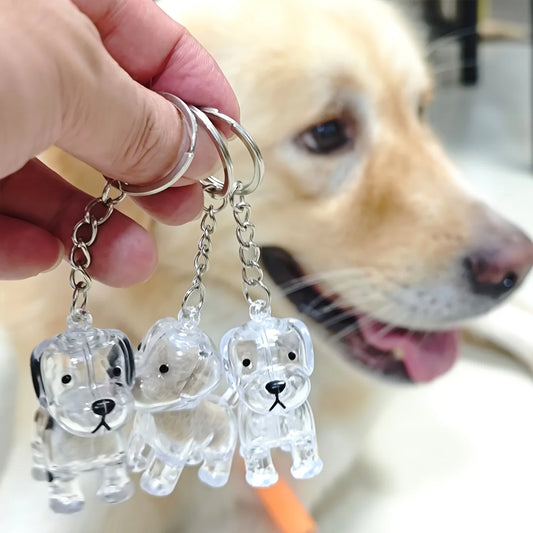 Capsule souvenir pour poils d’animaux avec porte-clés