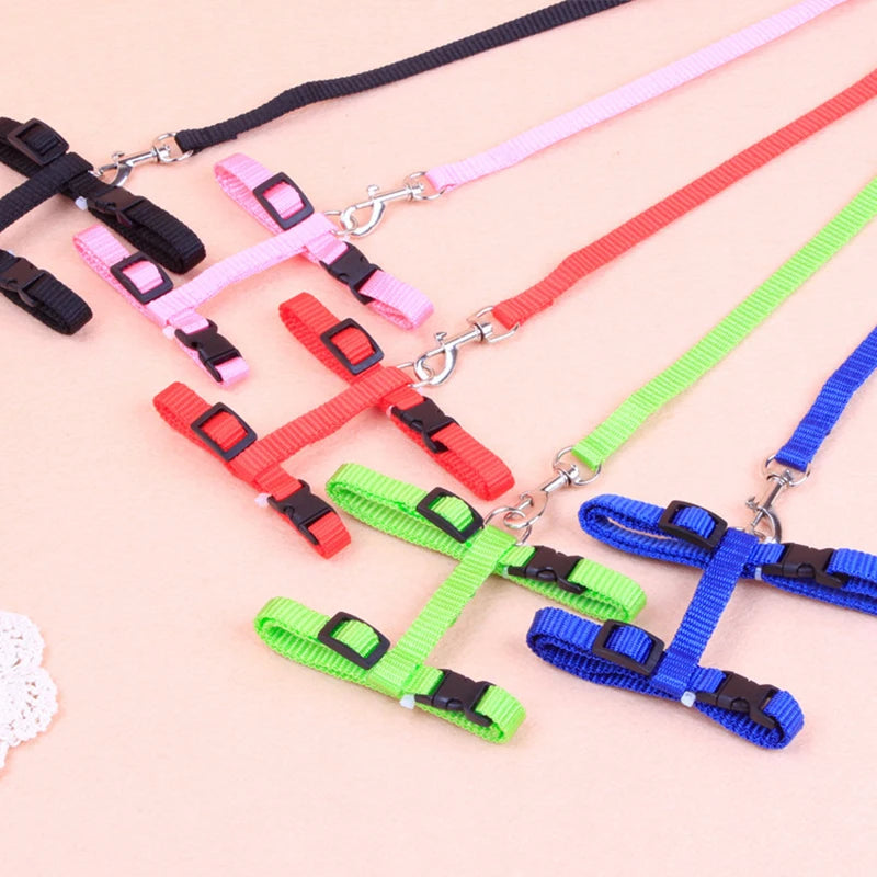 Adjustable Safety Cat Collar – breakaway clasp