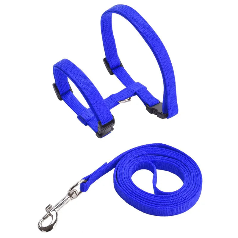 Adjustable Safety Cat Collar – breakaway clasp