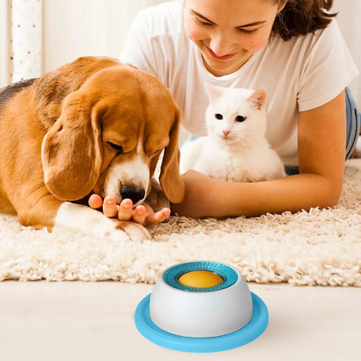 Gamelle anti-glouton pour chiens et chats – alimentation lente