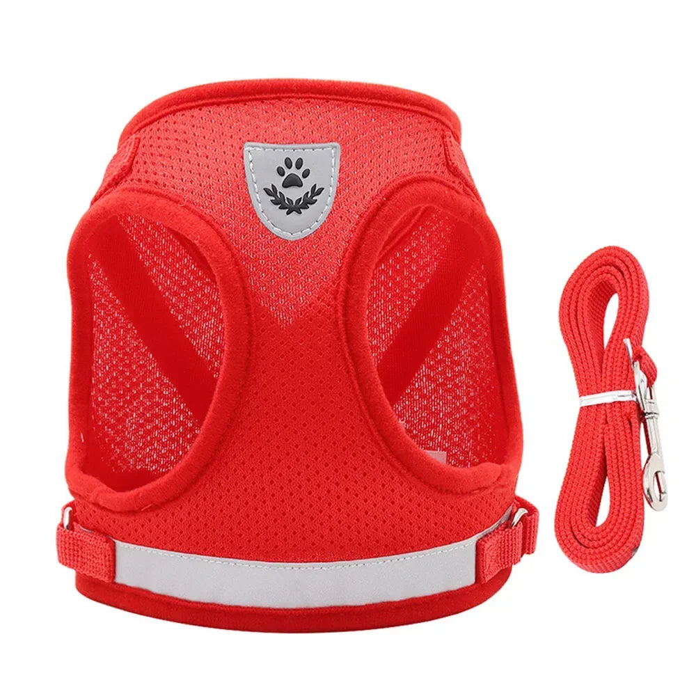 Harnais ajustable réfléchissant avec laisse pour chats et petits chiens