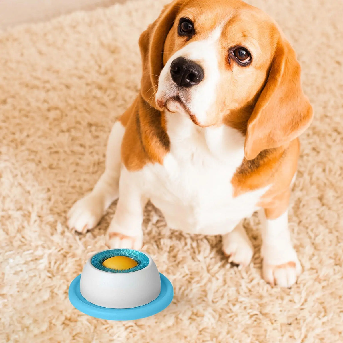 Gamelle anti-glouton pour chiens et chats – alimentation lente