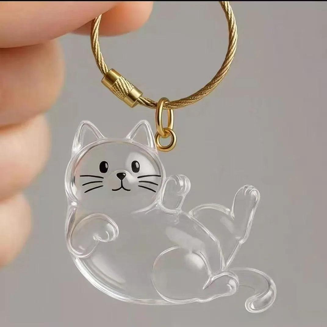 Capsule souvenir pour poils de chat avec porte-clés