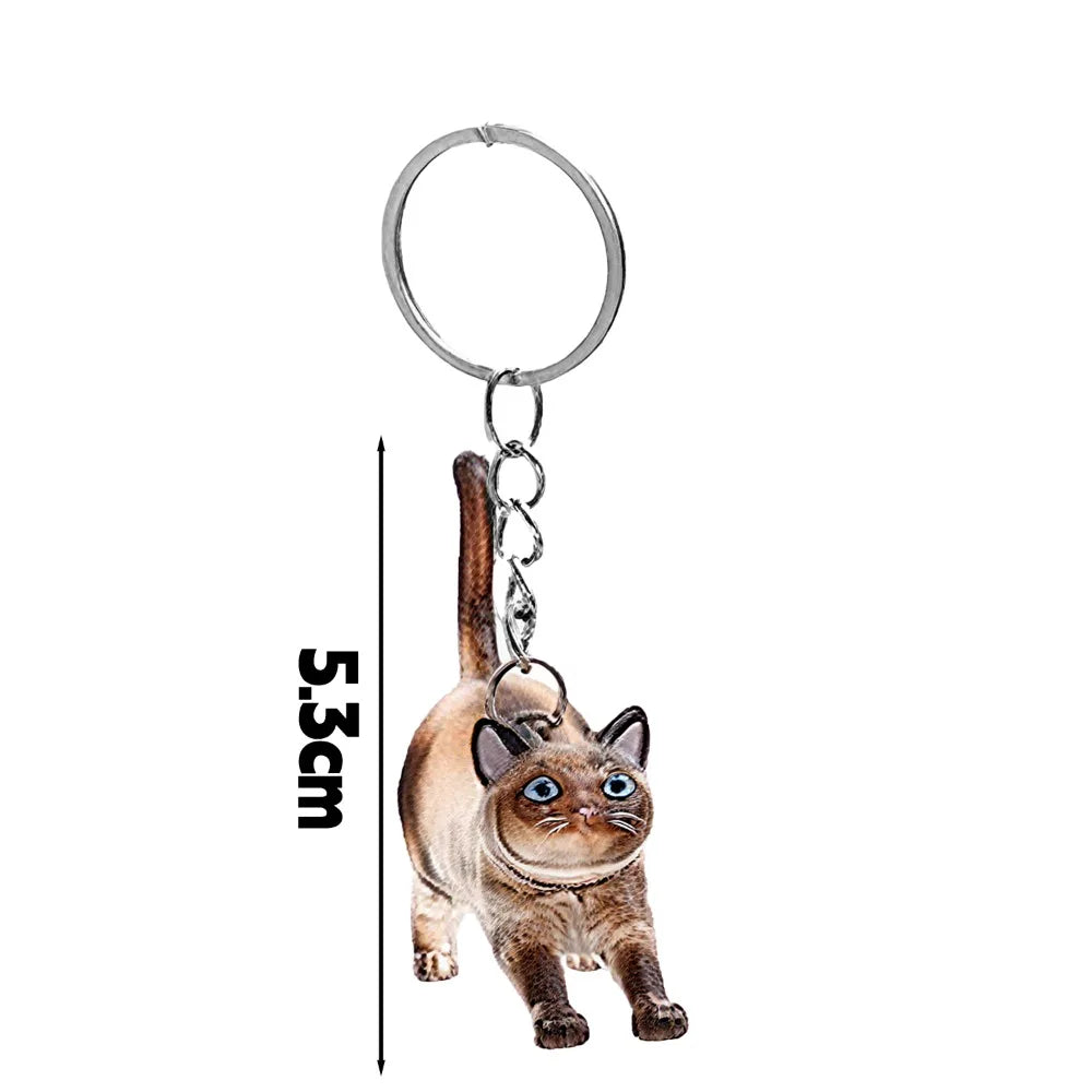 Capsule souvenir pour poils de chat avec porte-clés