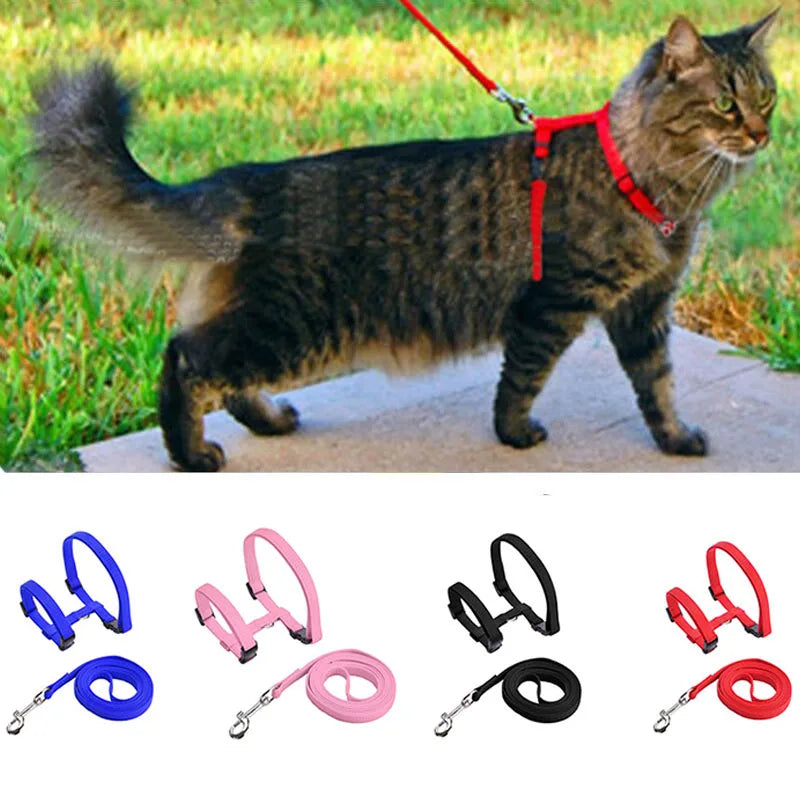 Adjustable Safety Cat Collar – breakaway clasp