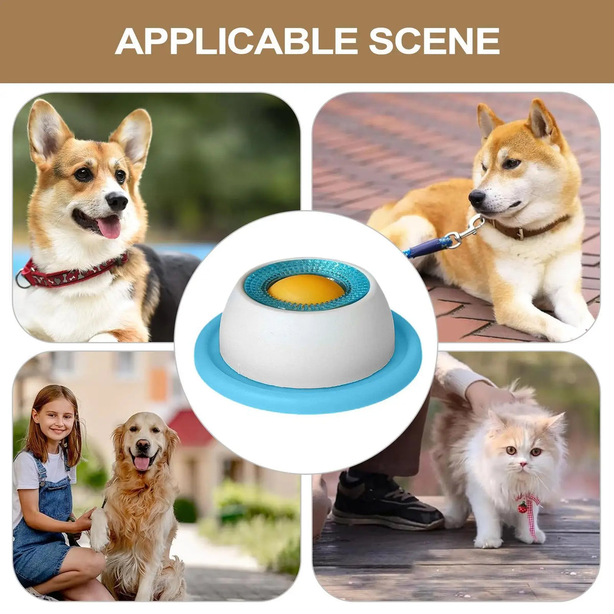 Gamelle anti-glouton pour chiens et chats – alimentation lente