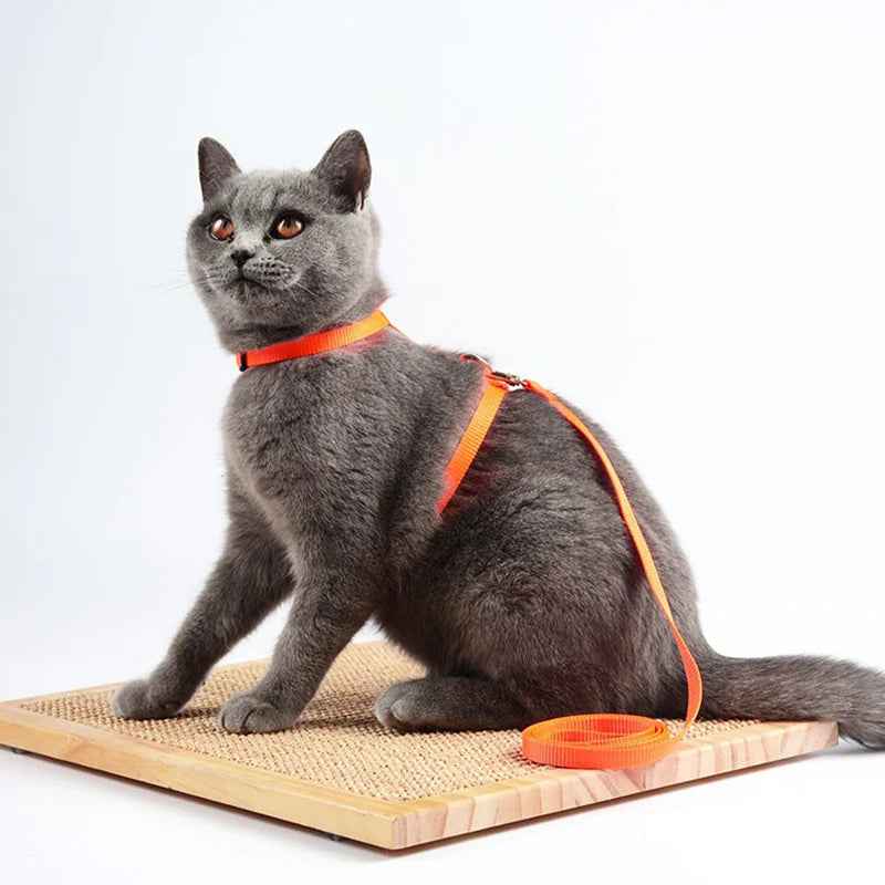 Adjustable Safety Cat Collar – breakaway clasp