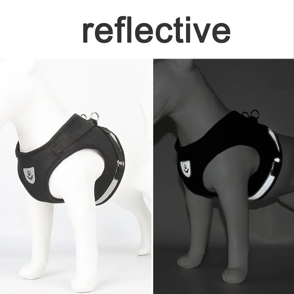 Harnais ajustable réfléchissant avec laisse pour chats et petits chiens