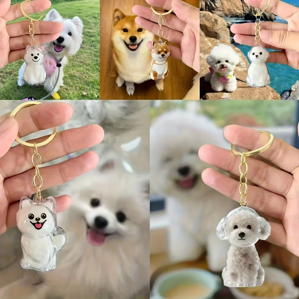 Capsule souvenir pour poils d’animaux avec porte-clés