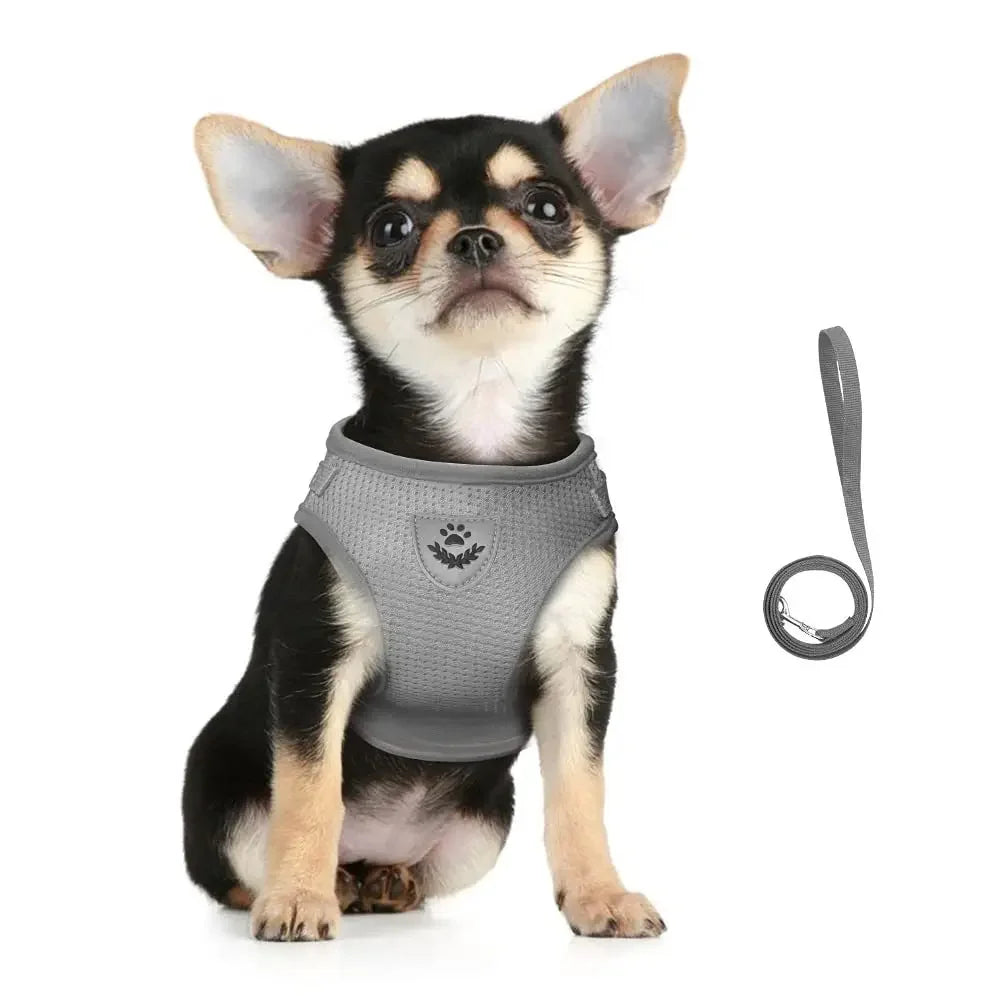 Harnais ajustable réfléchissant avec laisse pour chats et petits chiens