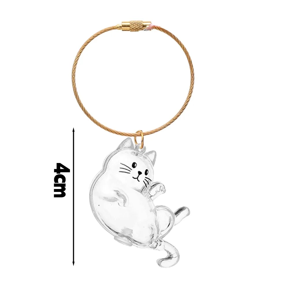 Capsule souvenir pour poils de chat avec porte-clés