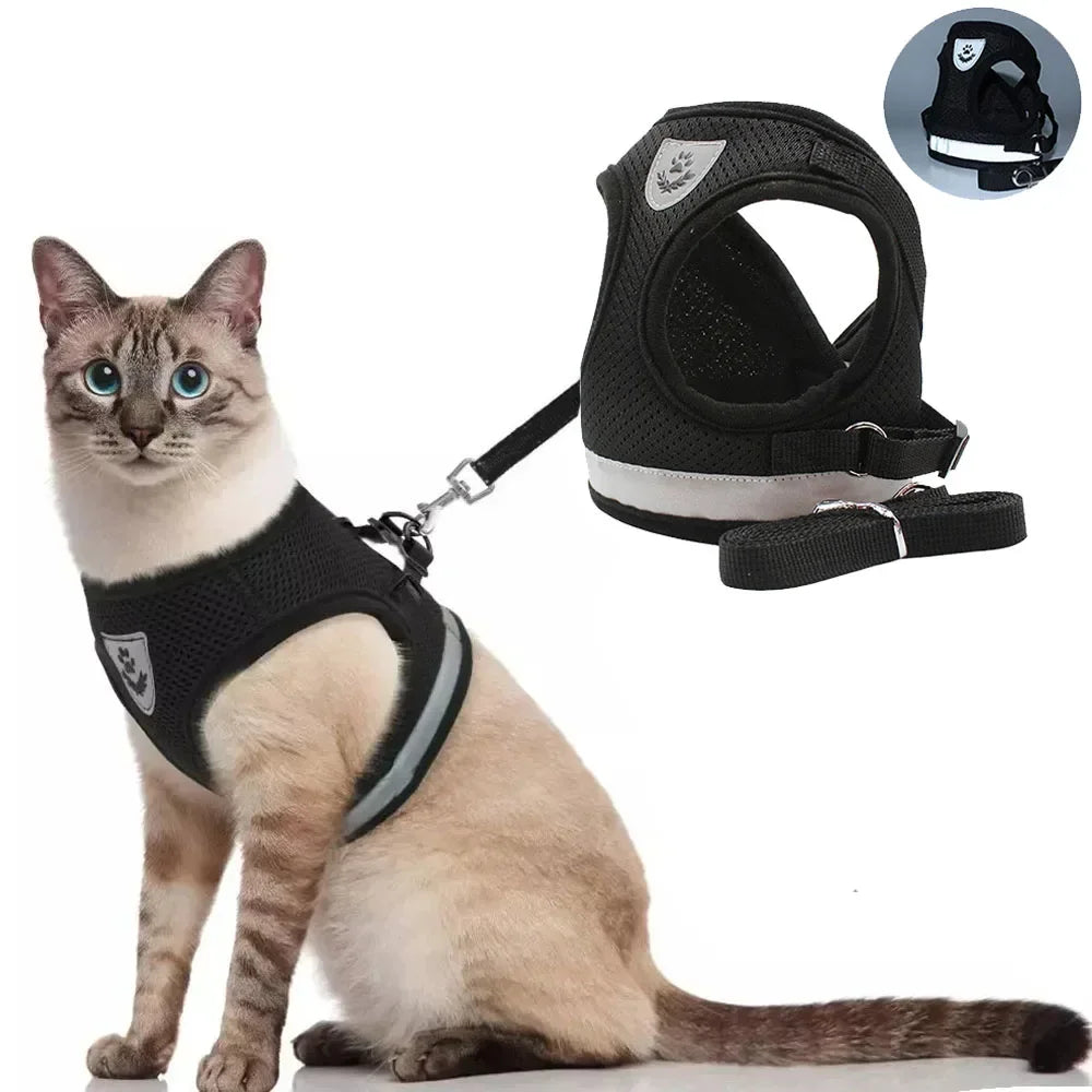 Harnais ajustable réfléchissant avec laisse pour chats et petits chiens