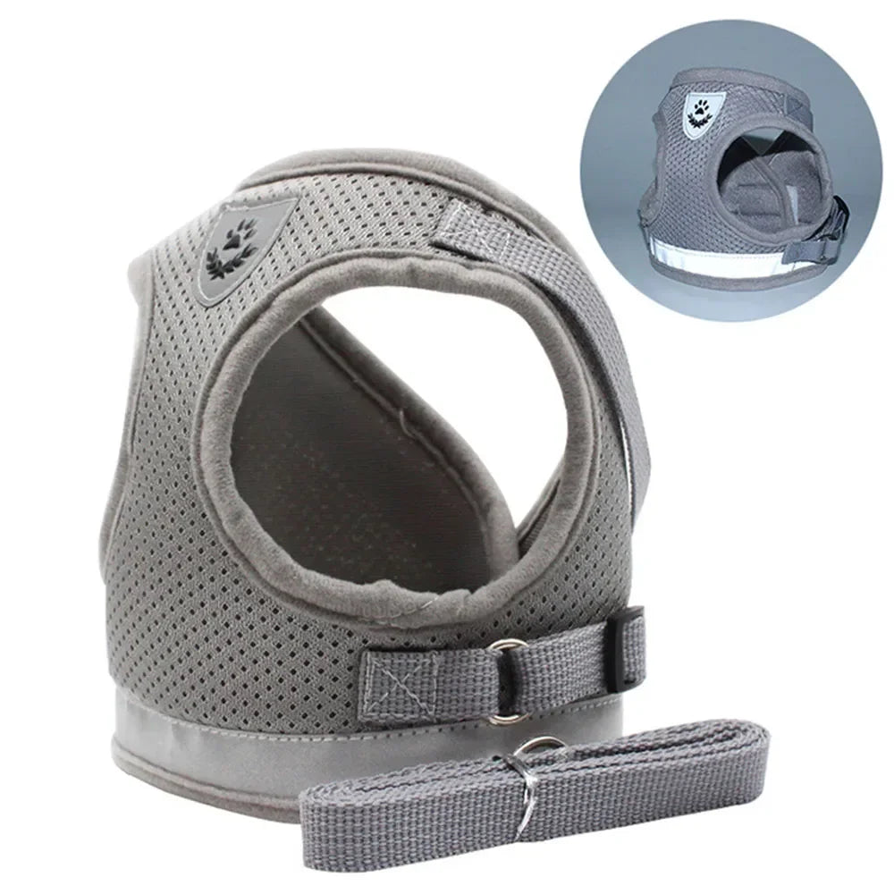 Harnais ajustable réfléchissant avec laisse pour chats et petits chiens