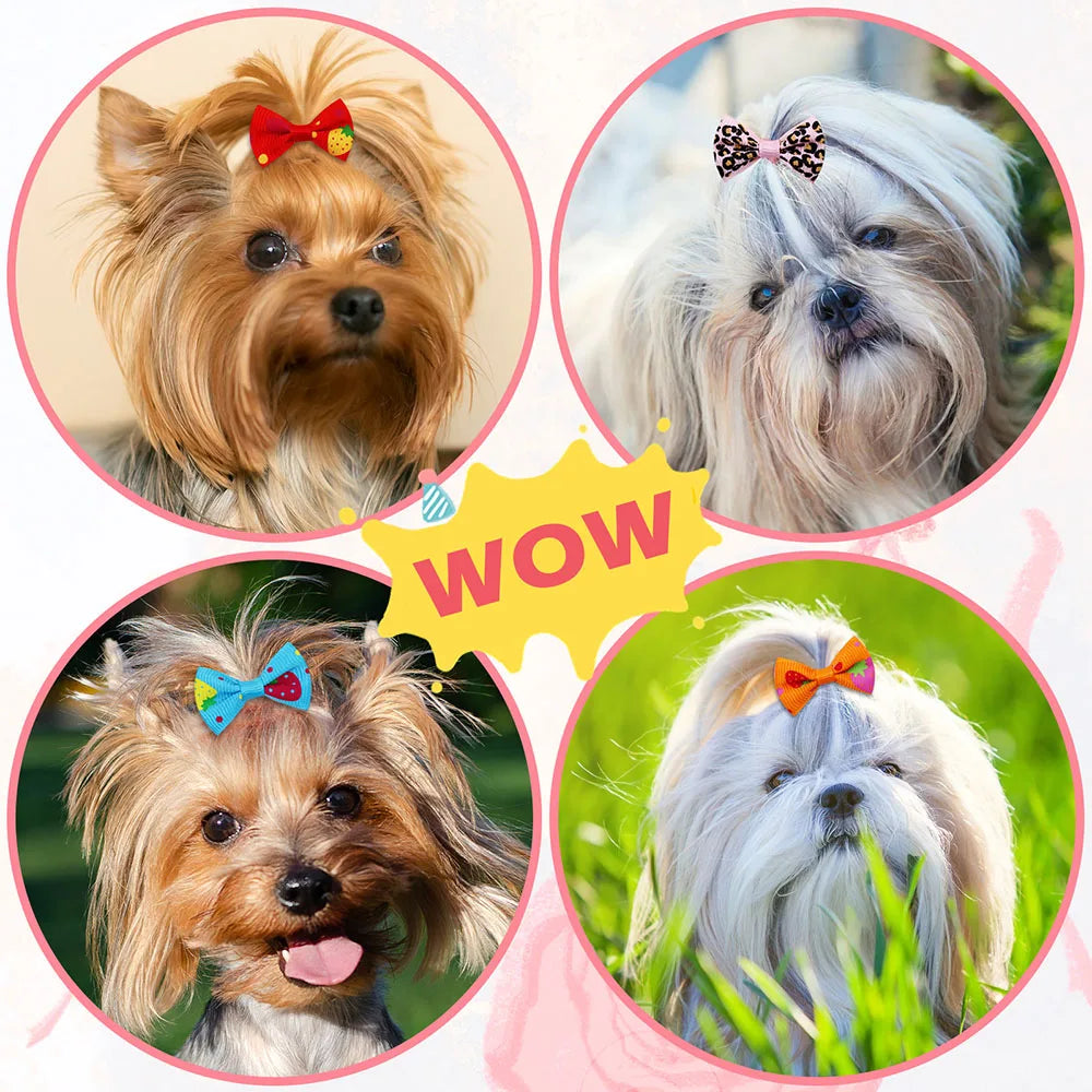 Pack of 30 bows with elastic bands for dogs