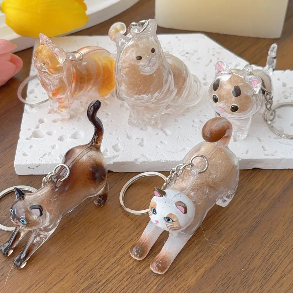 Capsule souvenir pour poils de chat avec porte-clés