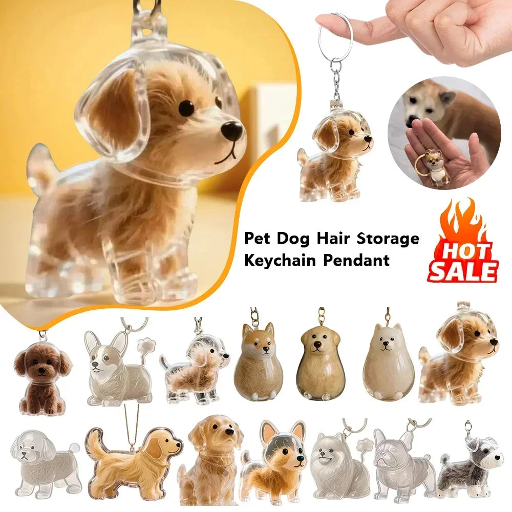 Capsule souvenir pour poils d’animaux avec porte-clés