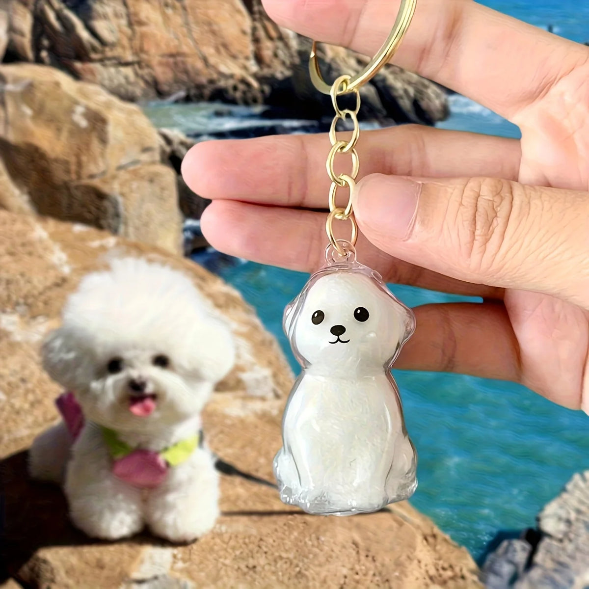 Capsule souvenir pour poils d’animaux avec porte-clés