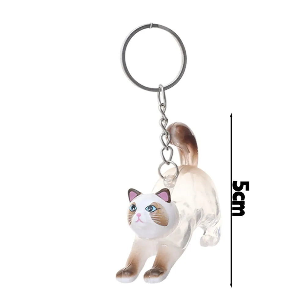 Capsule souvenir pour poils de chat avec porte-clés