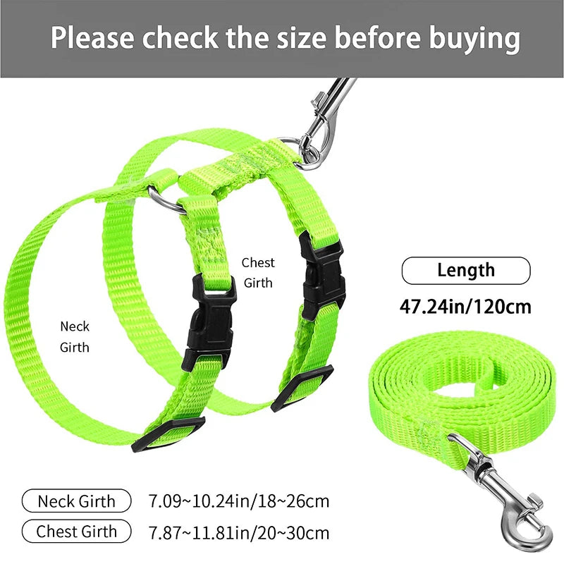 Adjustable Safety Cat Collar – breakaway clasp
