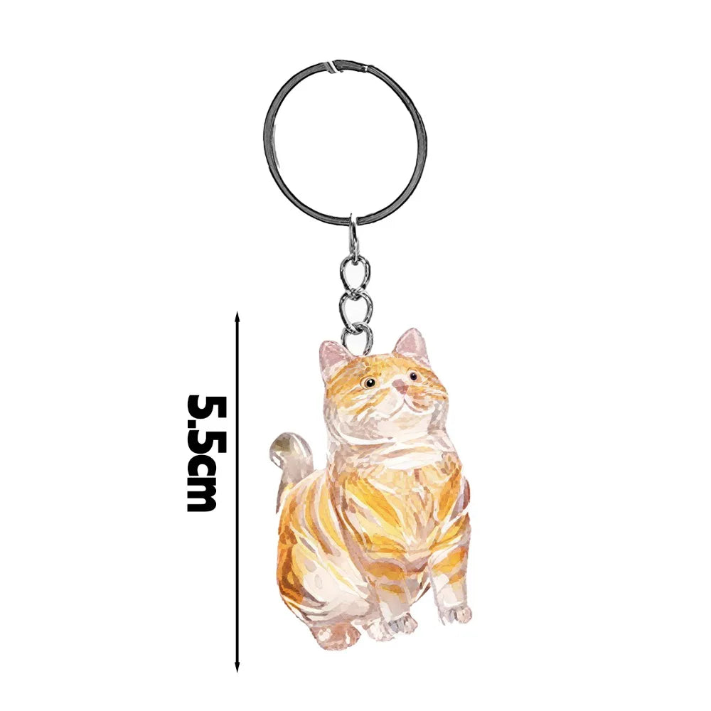 Capsule souvenir pour poils de chat avec porte-clés