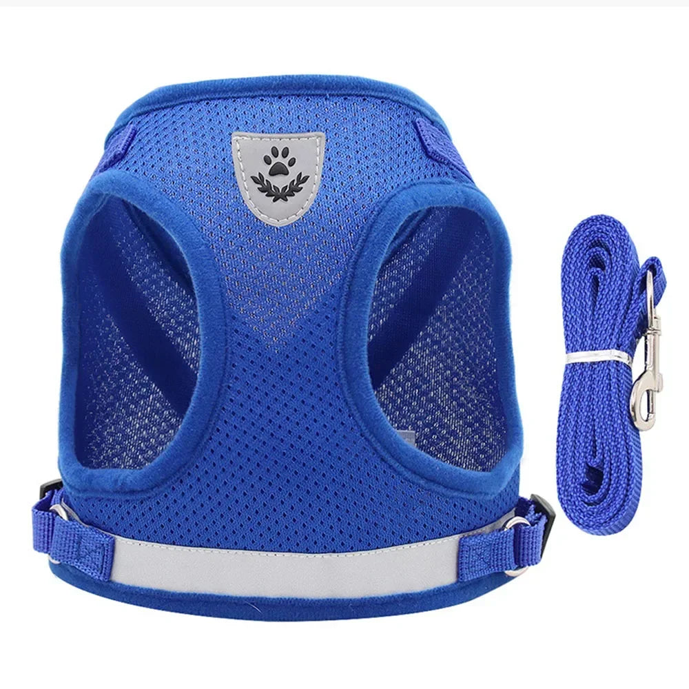 Harnais ajustable réfléchissant avec laisse pour chats et petits chiens