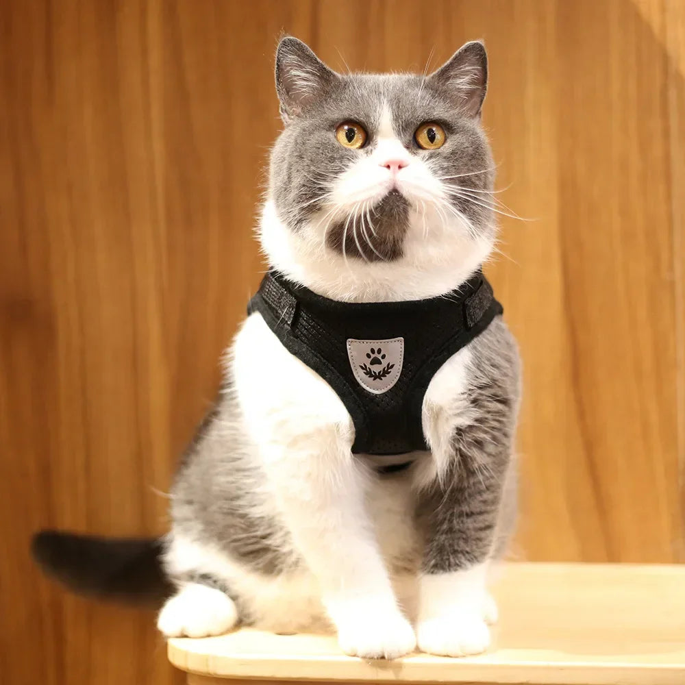 Harnais ajustable réfléchissant avec laisse pour chats et petits chiens