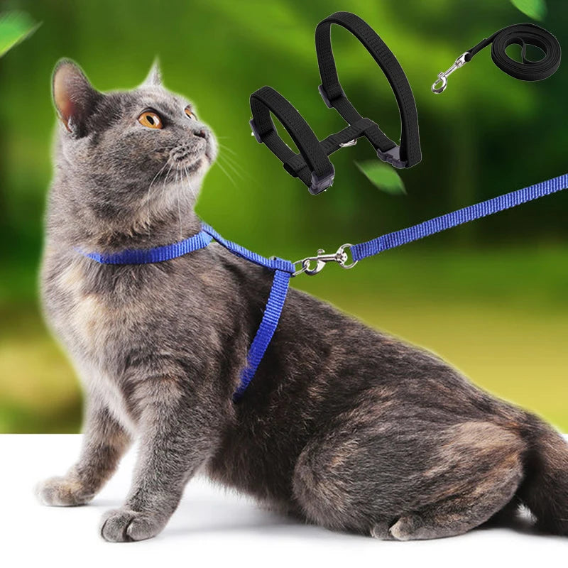 Adjustable Safety Cat Collar – breakaway clasp