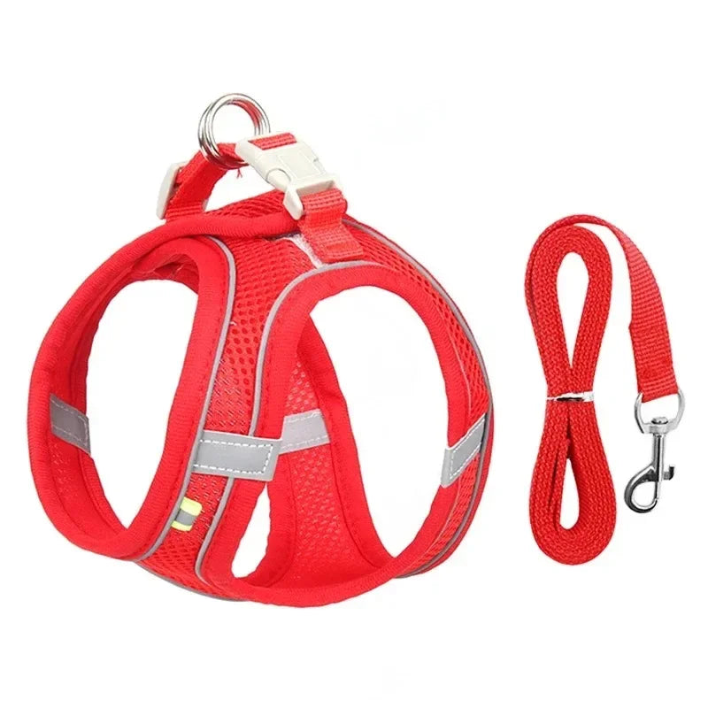 Harnais réfléchissant ajustable pour chien – confort et sécurité