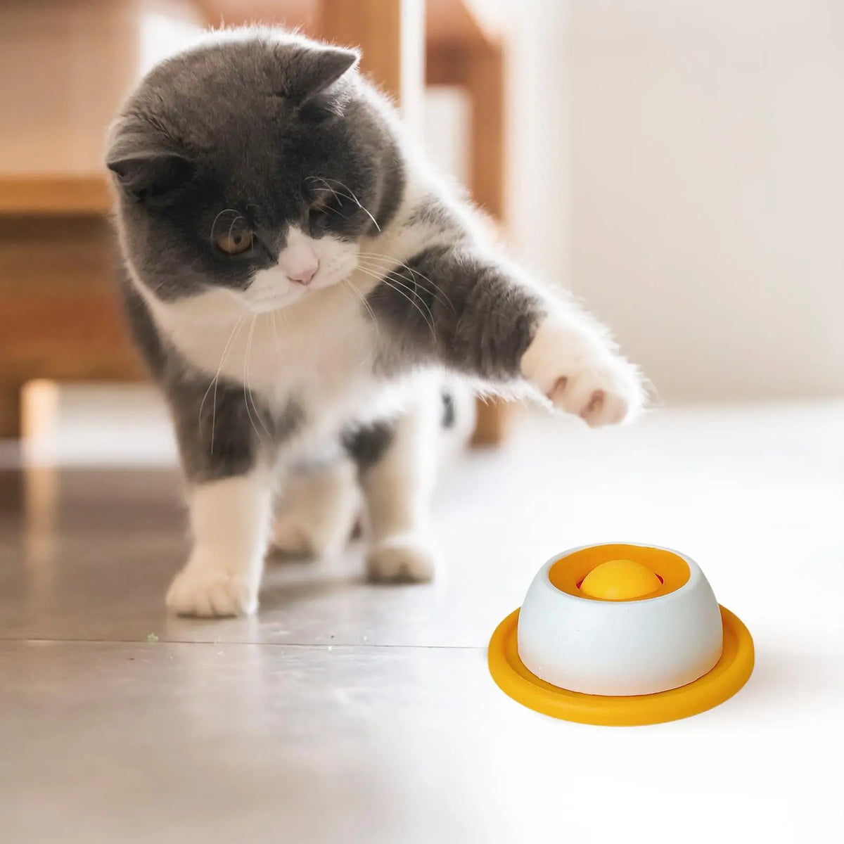 Gamelle anti-glouton pour chiens et chats – alimentation lente