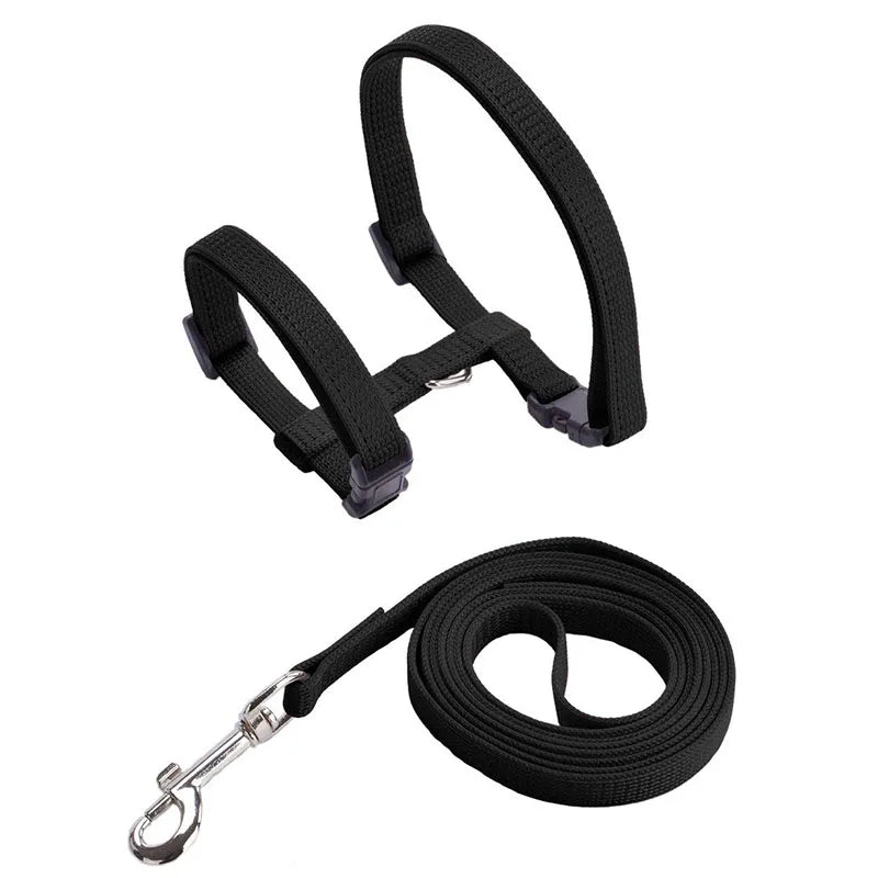 Adjustable Safety Cat Collar – breakaway clasp