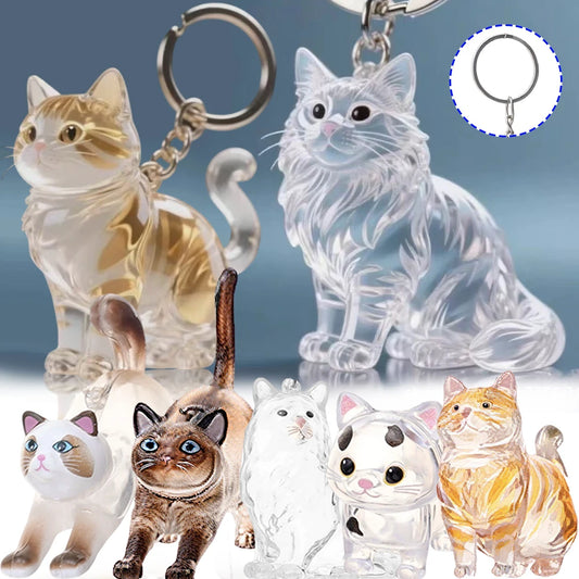 Capsule souvenir pour poils de chat avec porte-clés
