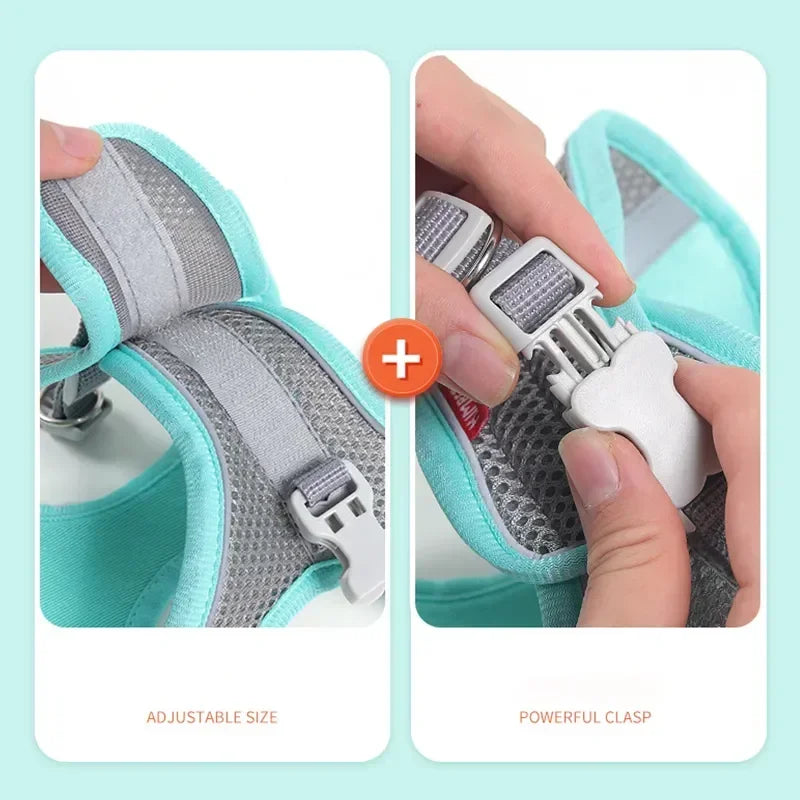 Harnais réfléchissant ajustable pour chien – confort et sécurité