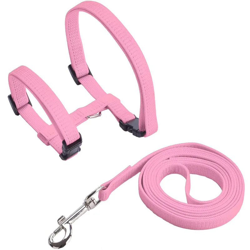Adjustable Safety Cat Collar – breakaway clasp