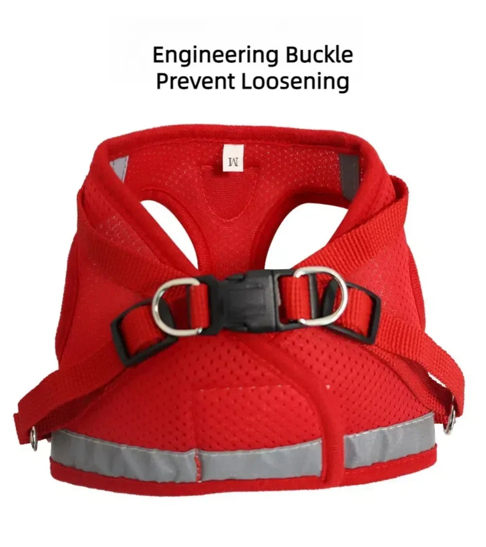 Harnais ajustable réfléchissant avec laisse pour chats et petits chiens
