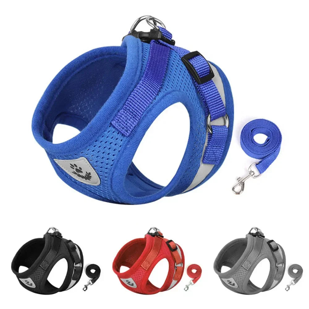 Harnais ajustable réfléchissant avec laisse pour chats et petits chiens
