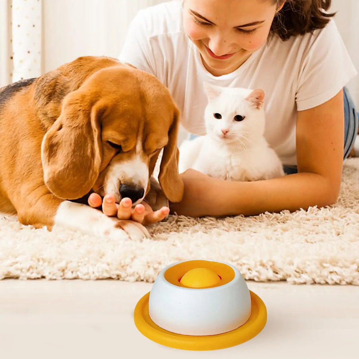 Gamelle anti-glouton pour chiens et chats – alimentation lente