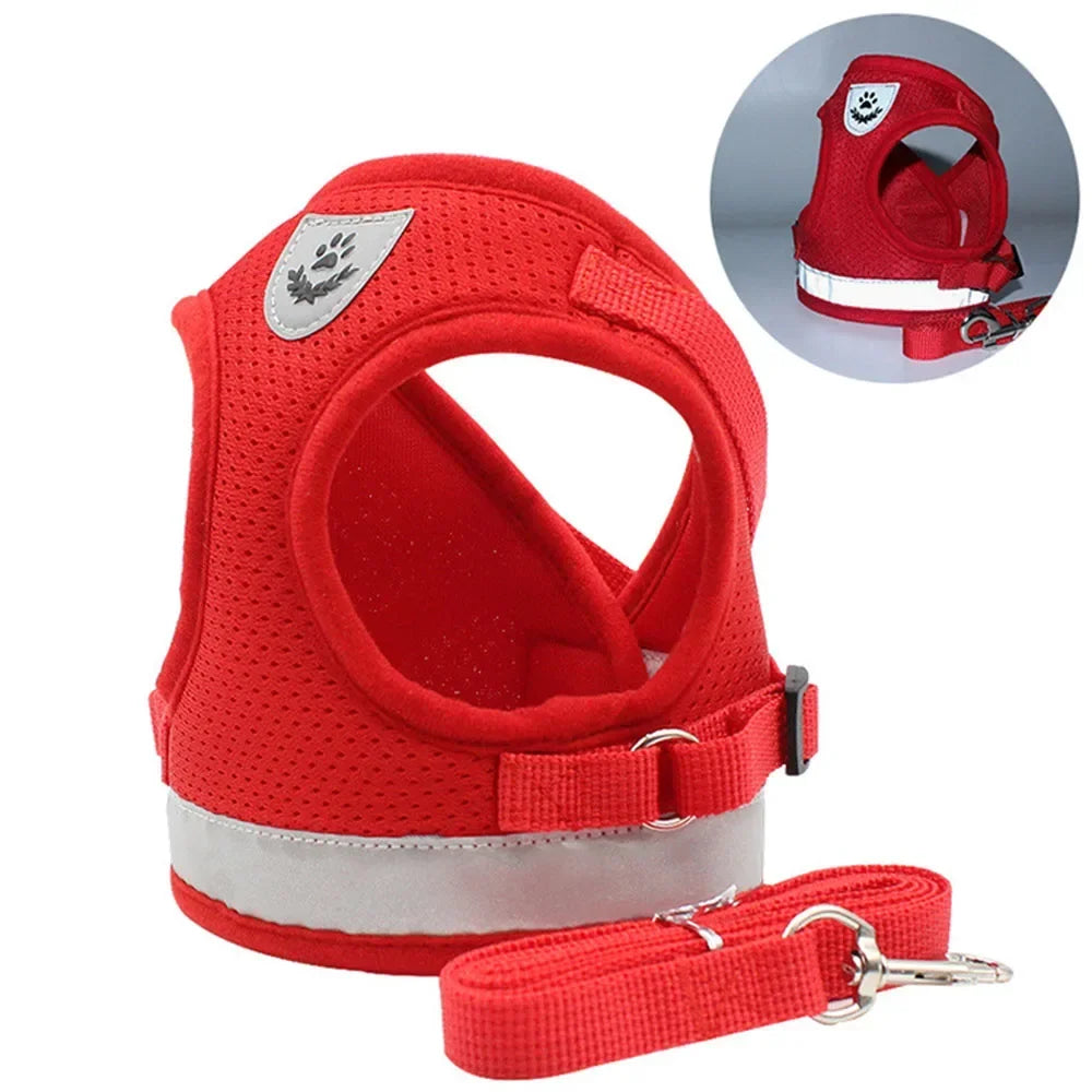 Harnais ajustable réfléchissant avec laisse pour chats et petits chiens