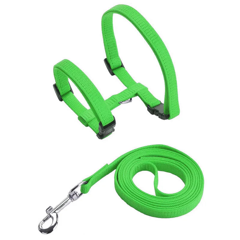 Adjustable Safety Cat Collar – breakaway clasp