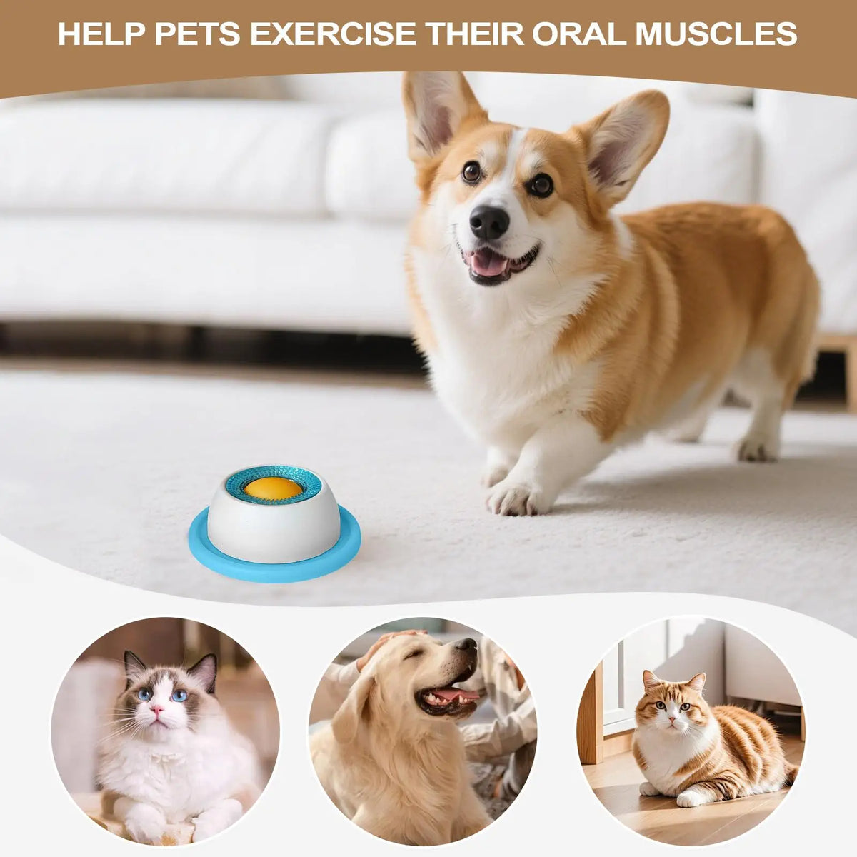 Gamelle anti-glouton pour chiens et chats – alimentation lente