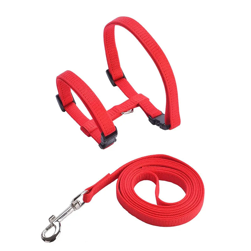 Adjustable Safety Cat Collar – breakaway clasp